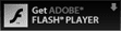 Get ADOBE FLASH PLAYER